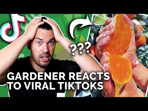 Gardener Reacts to Mind-Blowing Gardening TikToks 🤯