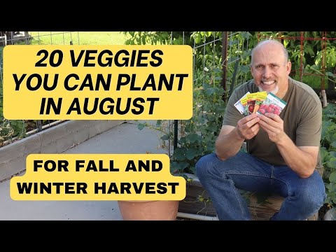 20 Veggies You can Plant in August for Fall and Winter Harvest