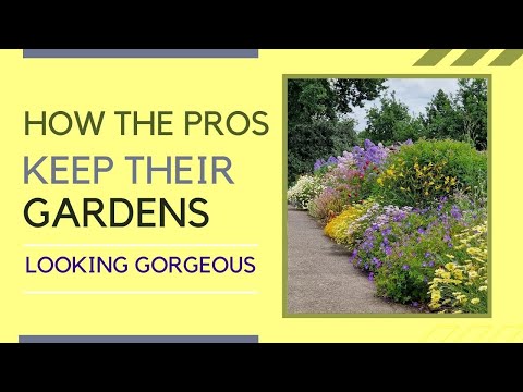 How To Save Your Garden From Stressful Weather: Gardening Tips from Borde Hill Gardens
