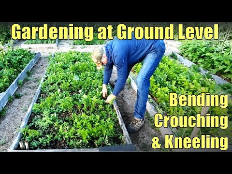 Gardening at Grade: Tips For Bending, Crouching and Kneeling