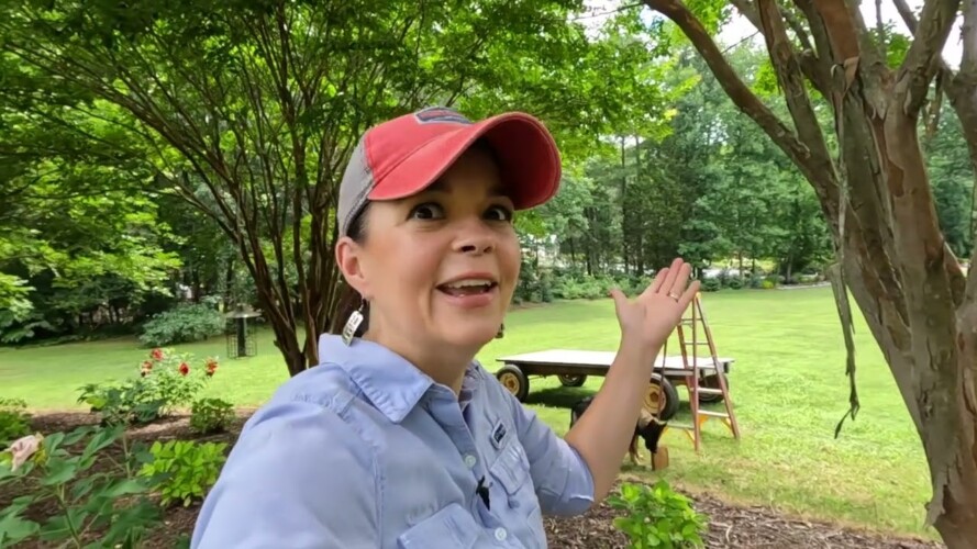 How to Trim a Crape Myrtle - Easy Tips! | Gardening with Creekside