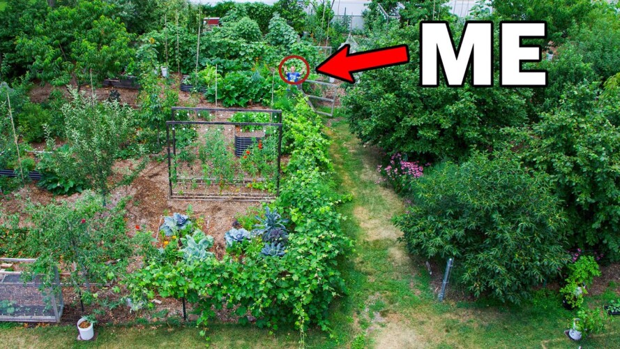 10 Years Later, From Normal Backyard To Permaculture Garden (Unseen Footage)