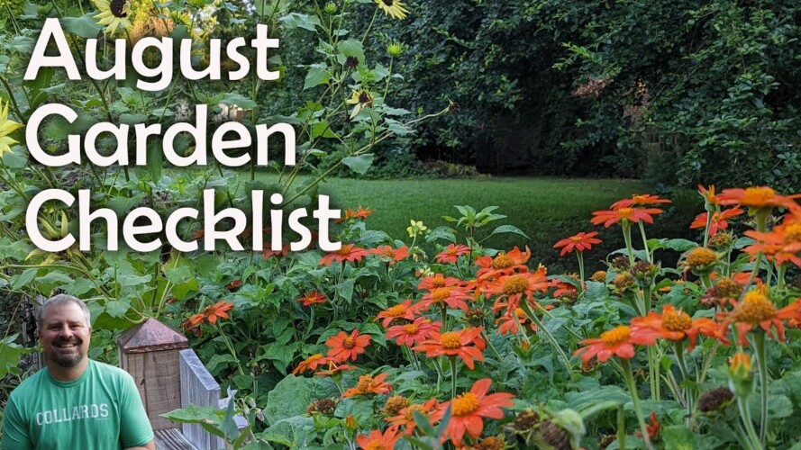 August Garden Checklist - Summer Gardening