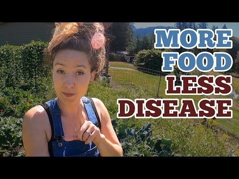 Do This NOW for More FOOD & Less Disease | Gardening in August