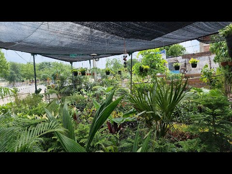 Nursery Visit VLOG || Fun Gardening