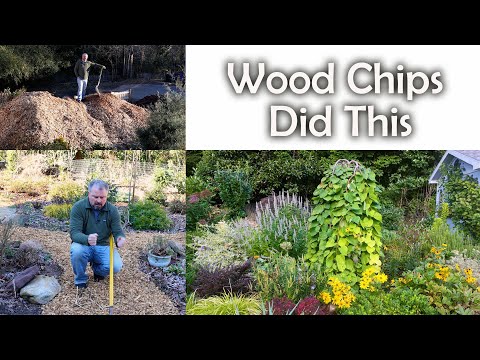 Wood Chips Quickly Changed My Soil - Organic Gardening
