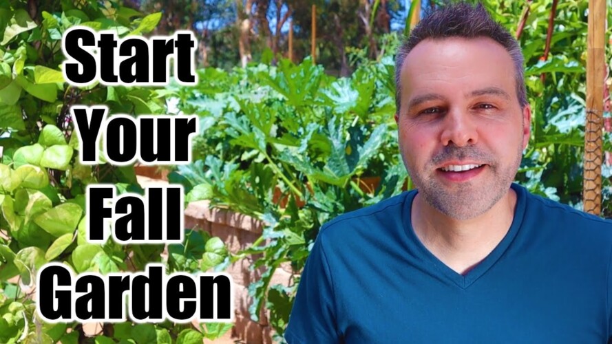 What to Plant in Your FALL GARDEN!