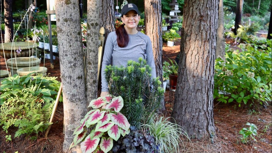 Caladiums & Containers Oh My! | Gardening with Creekside