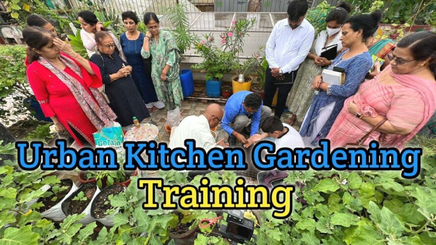 Urban Kitchen Gardening | Terrace Gardening | ORGANIC KITCHEN GARDEN Training