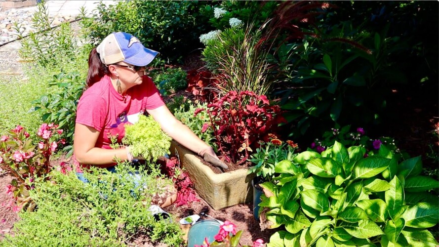 How to Use Summer Annuals to Prepare for Fall | Gardening with Creekside