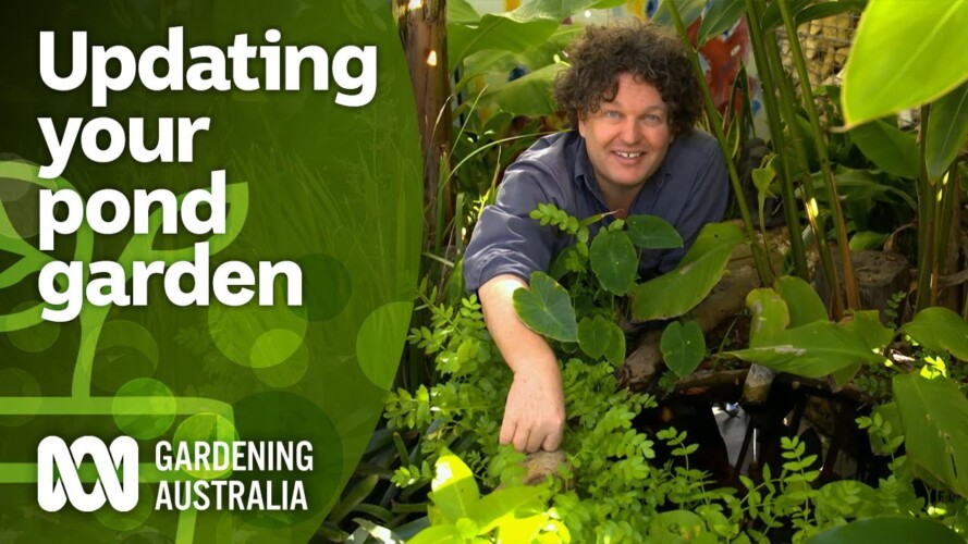 How to update your edible pond garden | DIY Garden Projects | Gardening Australia