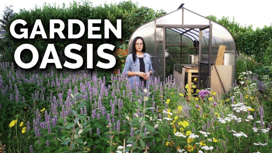 She's Growing a Garden Oasis | Suburban Vancouver Garden Tour