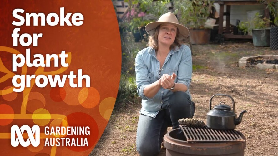 Simple ways to use smoke for better plant growth | Gardening 101 | Gardening Australia