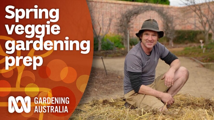 How to prepare your veggie garden beds for Spring and Summer | Gardening 101 | Gardening Australia
