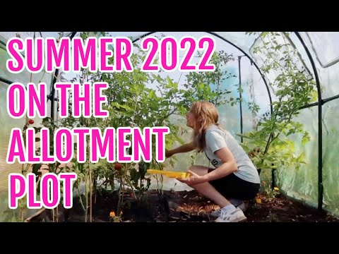 ALLOTMENT GARDENING THROUGH SUMMER 2022 / EMMA'S ALLOTMENT DIARIES