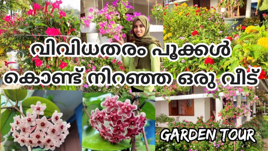 flower garden tour | gardening ideas  with pvc | petunia collection | home garden tour