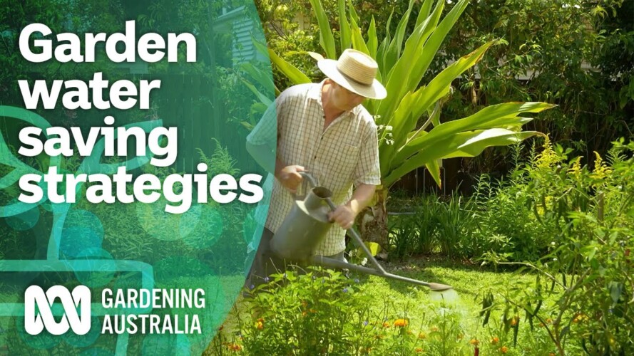 8 tips for saving water in your productive garden | Becoming self-sufficient | Gardening Australia