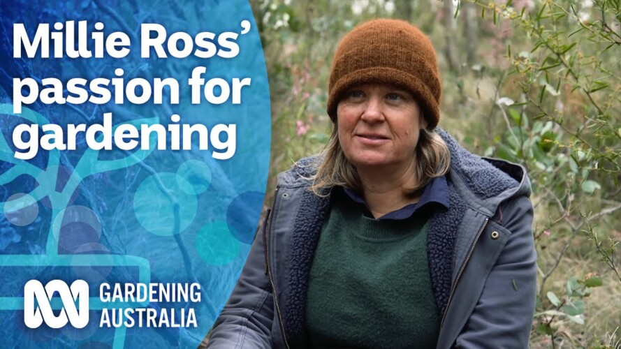 Millie Ross' passion for thrifty gardening and creativity | My Garden Path | Gardening Australia