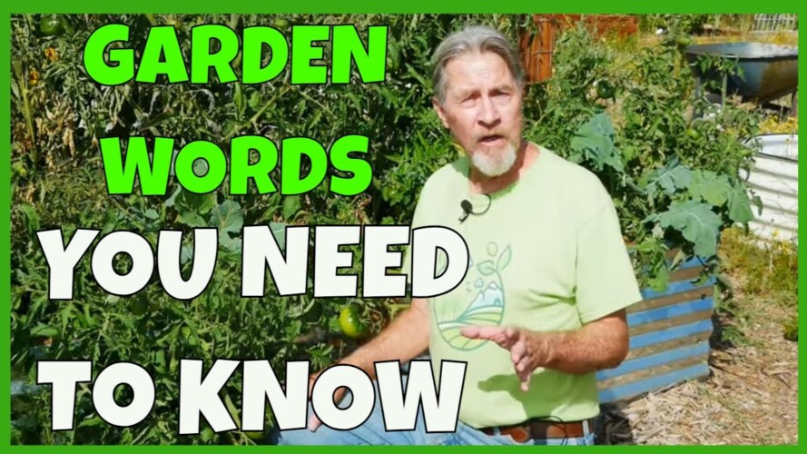 10 Gardening Definitions (You Should Know)