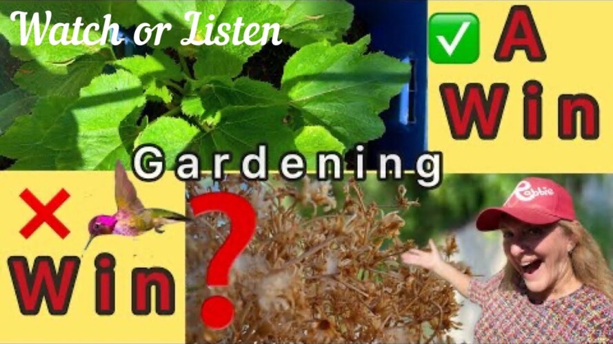 Grow TONS of Vegetables or Make Free Soil GARDENING Small or Big is All Successful, Container Garden
