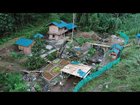 200 days living in the forest - full video : gardening, yard, vegetable stack, fence building