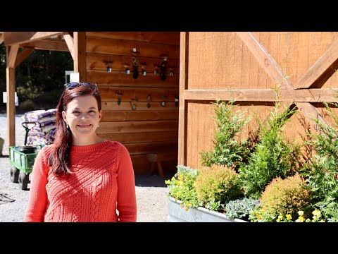 Fall Container Ideas - Fun With Evergreens | Gardening with Creekside