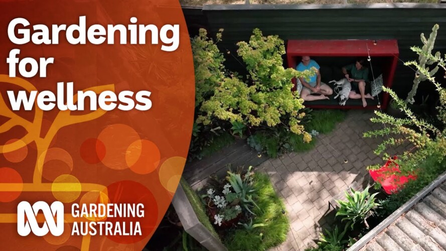 A lush garden built around promoting wellness and respite | Garden Design | Gardening Australia