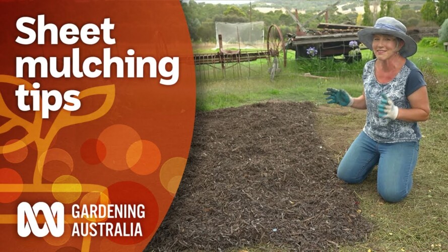 How to get started using sheet mulching to kill weeds | Gardening 101 | Gardening Australia