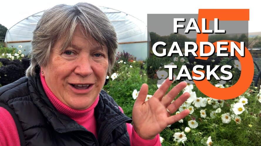 Fall tasks for a Great Garden Next Year | Autumn Gardening