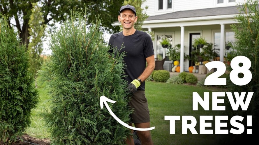Planting 28 New Trees in My Front Yard! | Gardening with Wyse Guide