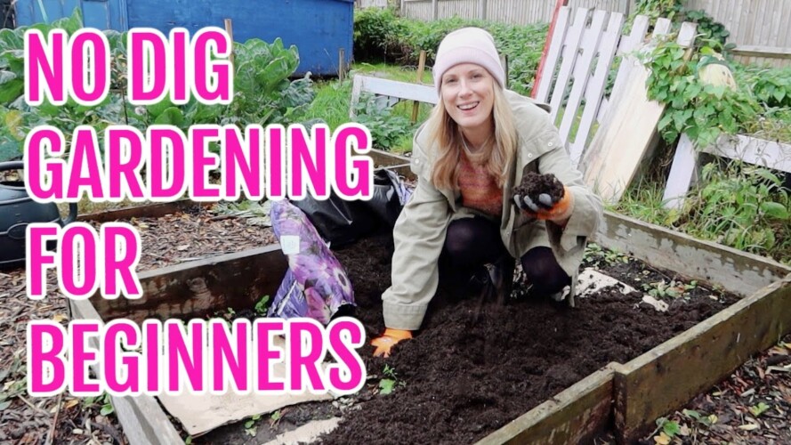 NO DIG GARDENING FOR ABSOLUTE BEGINNERS
