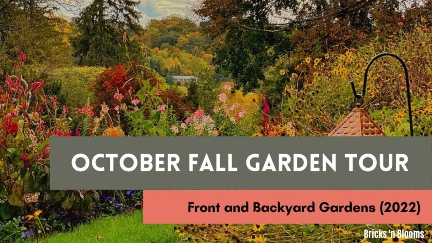 OCTOBER FRONT AND BACKYARD GARDEN TOUR 2022  // Zone 6a Gardening // Fall Foliage // Brick ’n Blooms