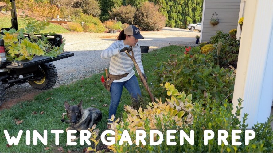 How To Prepare Your Shade Garden for Winter | Gardening with Creekside