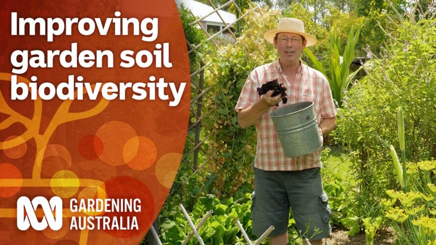 How to increase the biodiversity in your garden soil | Gardening 101 | Gardening Australia