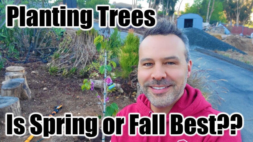 Planting Trees // Cottage Coop Update // When is the Best Time to Plant Trees? Spring or Fall?