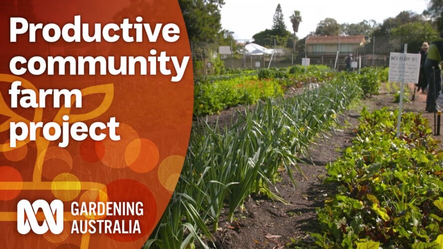 Converting an unused public space into a community farm | Garden Inspiration | Gardening Australia