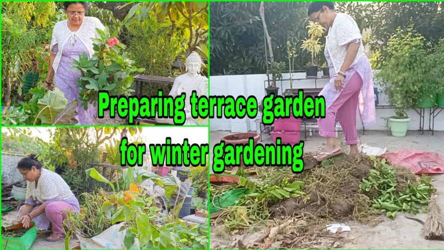 Preparing terrace garden for winter gardening छत मे सर्दियों की बागवानी की तैयारी