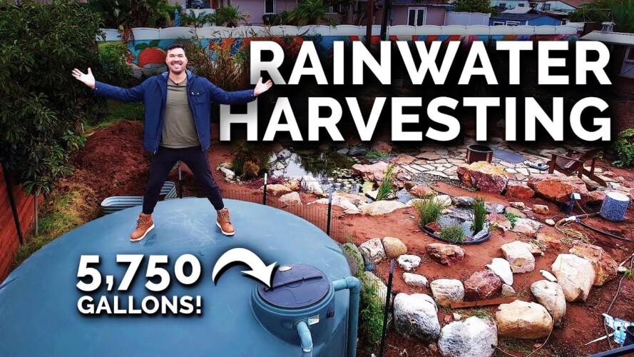 How I Capture 5,750+ Gallons of Rainwater For My Garden