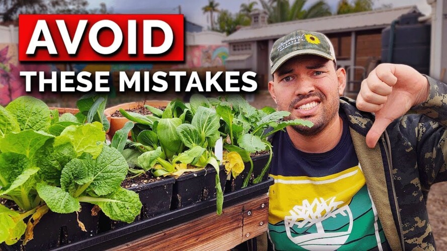 9 Garden Mistakes We Won't Repeat Next Year