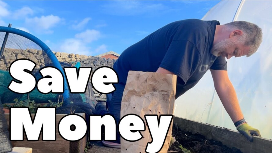 I've Just Saved A Fortune | Allotment Gardening With Tony