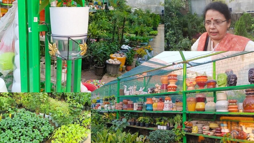 nursery visit  seasonal plants price gardening का समान एक ही जगह पर || Prayagraj nursery visit