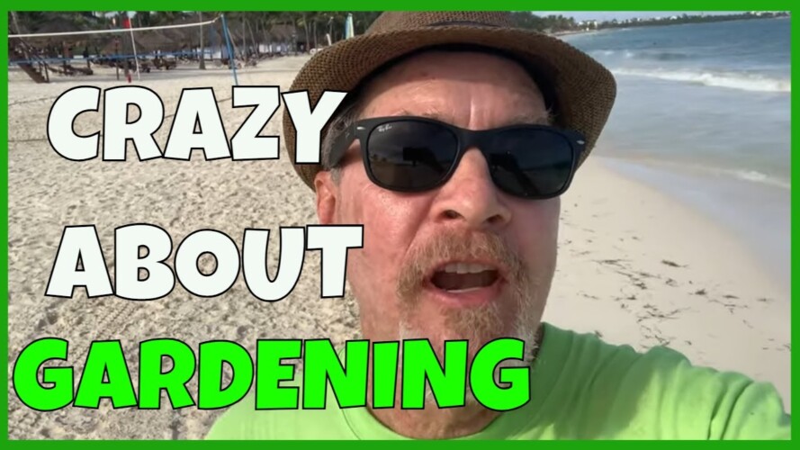 Gardening on Vacation