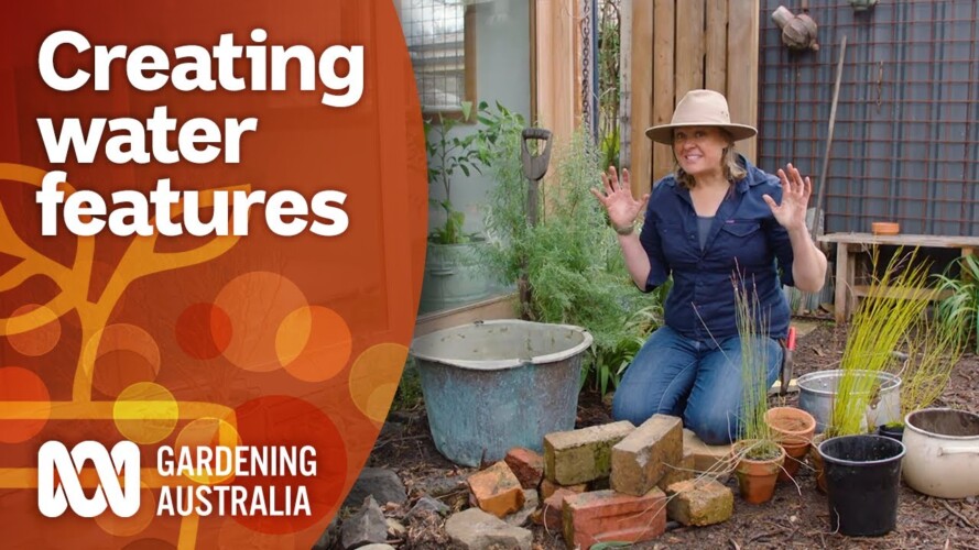 Methods for creating water points for wildlife in your garden | Garden Design | Gardening Australia