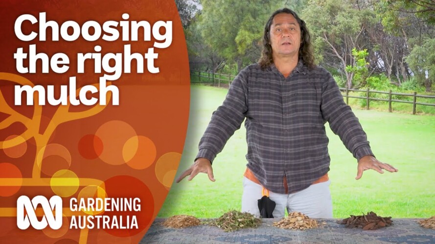 How to choose the right mulch for your gardening needs | Gardening 101 | Gardening Australia