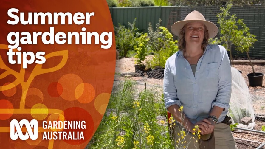 How to get the most success from your summer gardening | Gardening 101 | Gardening Australia