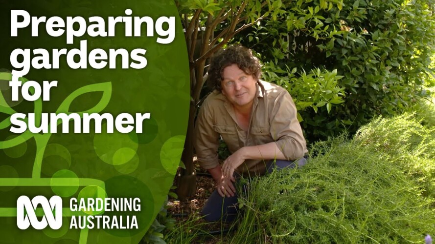 How to make sure your garden thrives over summer holidays | Gardening Hacks | Gardening Australia