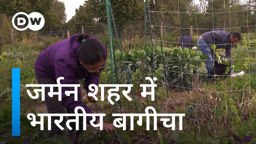 बर्लिन शहर में खुद का भोजन उगाता भारतीय दंपत्ति [Berlin's urban gardening project by Indian couple]