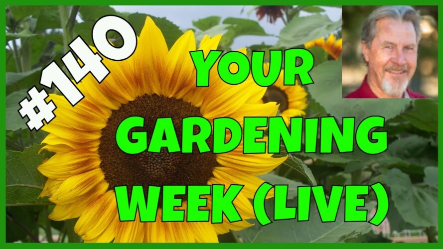 Solstice Gardening (Q&A)