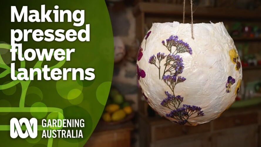 How to make pressed flower lanterns for Christmas decorating | DIY Projects | Gardening Australia