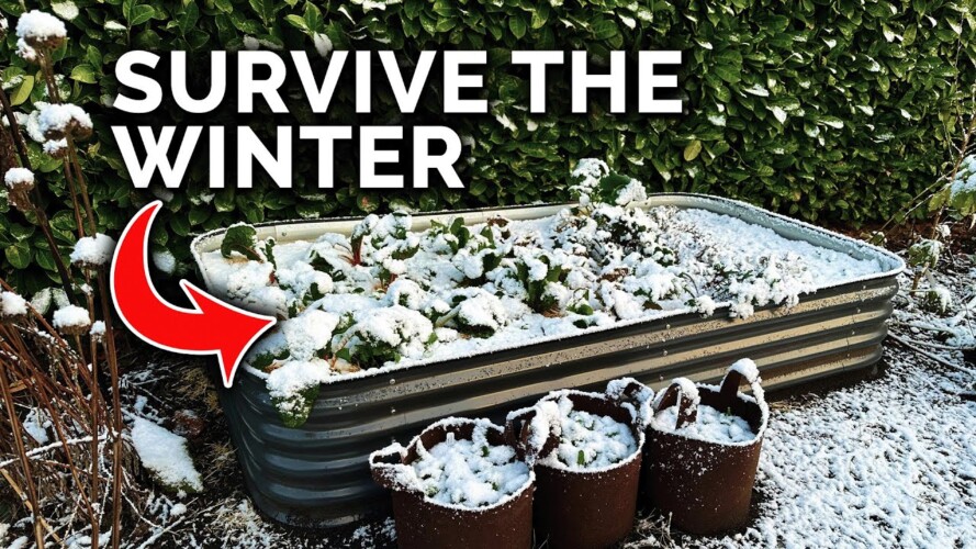 11 Winter Tasks To Guarantee an Abundant Garden Next Year